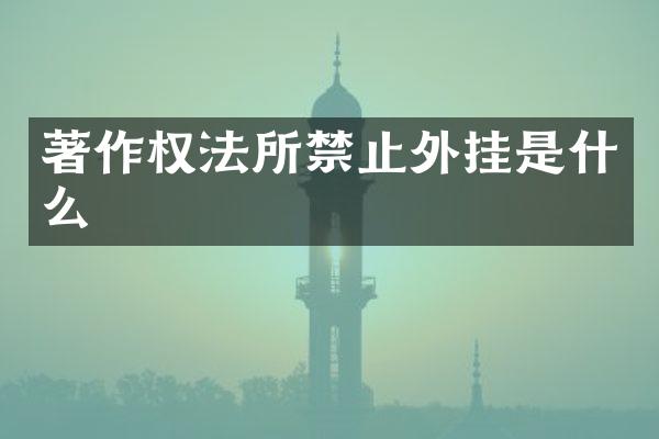 著作权法所禁止外挂是什么