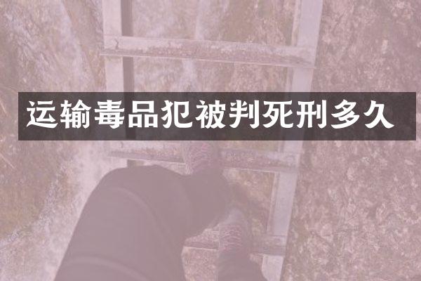 运输犯被判死刑多久