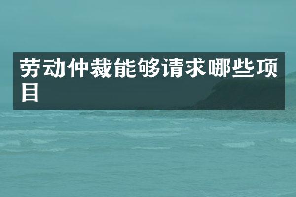 劳动仲裁能够请求哪些项目