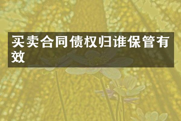 买卖合同债权归谁保管有效