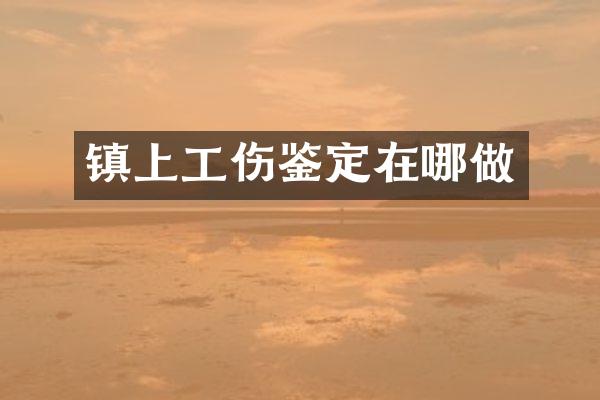 镇上工伤鉴定在哪做