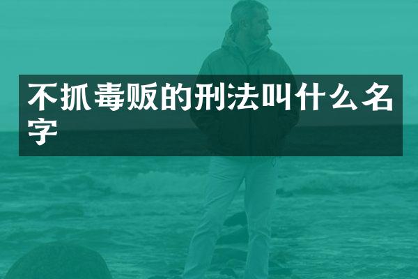 不抓的刑法叫什么名字