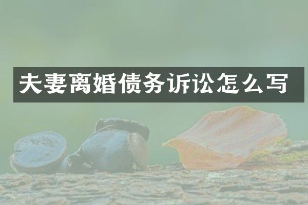 夫妻离婚债务诉讼怎么写