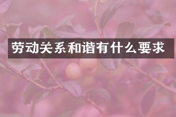 劳动关系和谐有什么要求