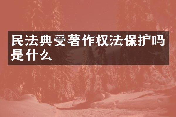 民法典受著作权法保护吗是什么