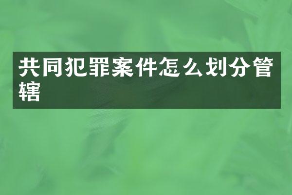 共同犯罪案件怎么划分管辖