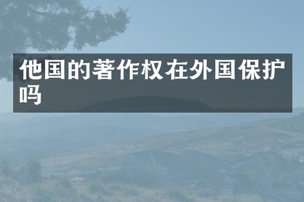 他国的著作权在外国保护吗