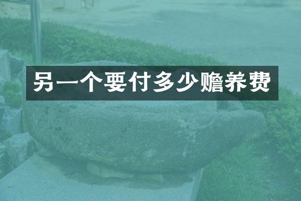 另一个要付多少赡养费