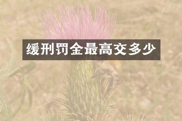 缓刑罚金最高交多少