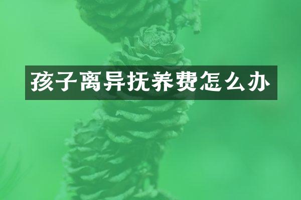 孩子离异抚养费怎么办
