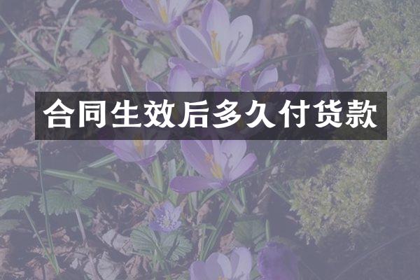 合同生效后多久付货款