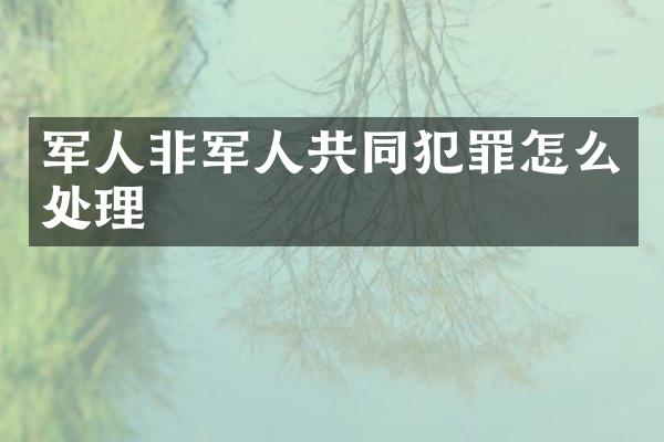 军人非军人共同犯罪怎么处理