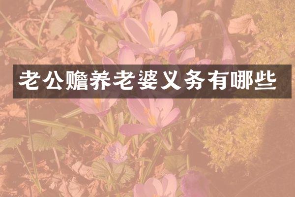 老公赡养老婆义务有哪些