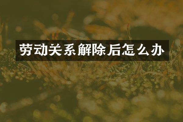 劳动关系解除后怎么办