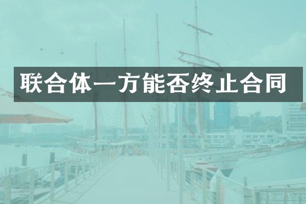 联合体一方能否终止合同