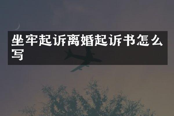 坐牢起诉离婚起诉书怎么写