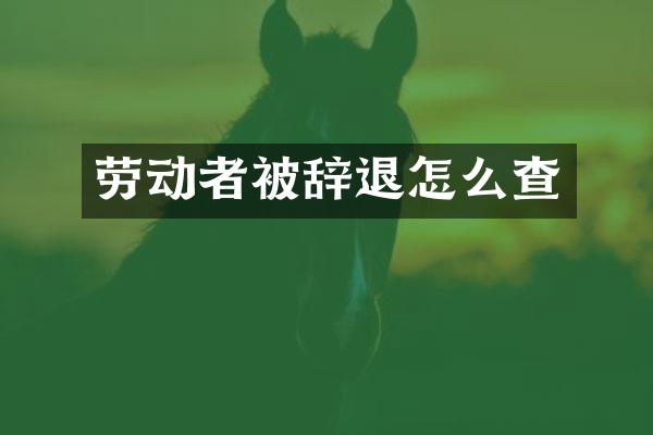 劳动者被辞退怎么查