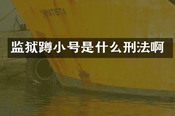 监狱蹲小号是什么刑法啊
