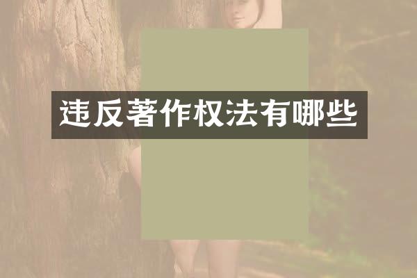 违反著作权法有哪些