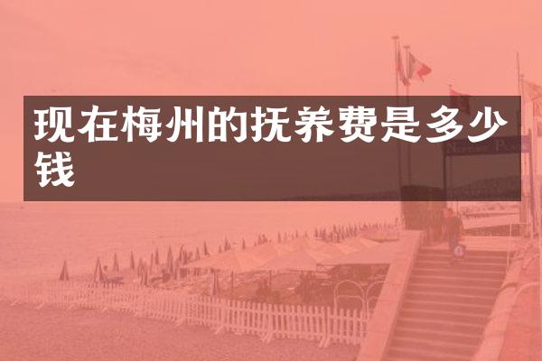 现在梅州的抚养费是多少钱
