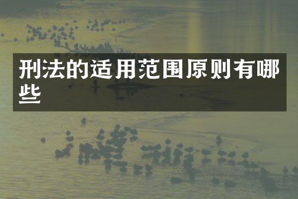 刑法的适用范围原则有哪些