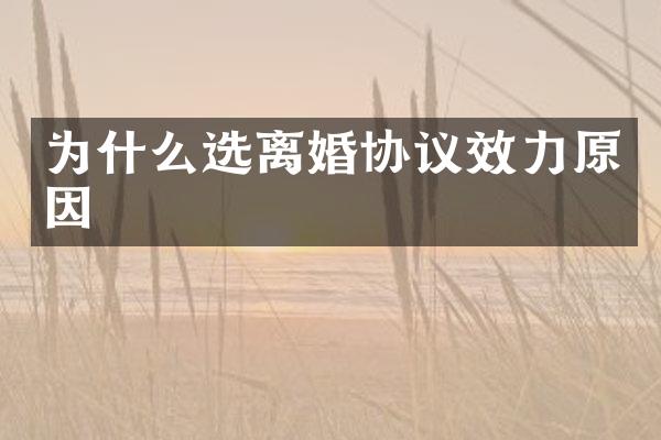 为什么选离婚协议效力原因