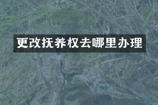 更改抚养权去哪里办理