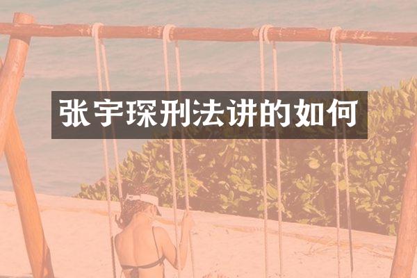 张宇琛刑法讲的如何