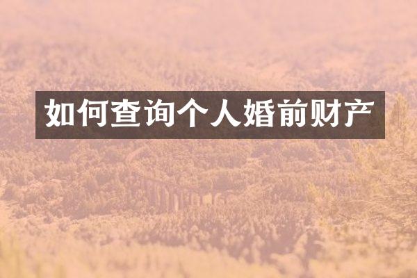 如何查询个人婚前财产