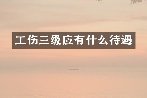 工伤三级应有什么待遇