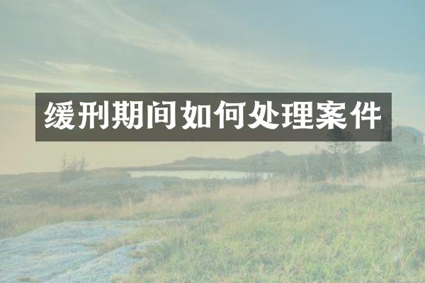 缓刑期间如何处理案件