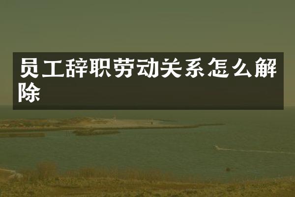 员工辞职劳动关系怎么解除
