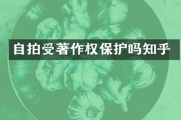 受著作权保护吗知乎