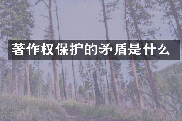 著作权保护的矛盾是什么