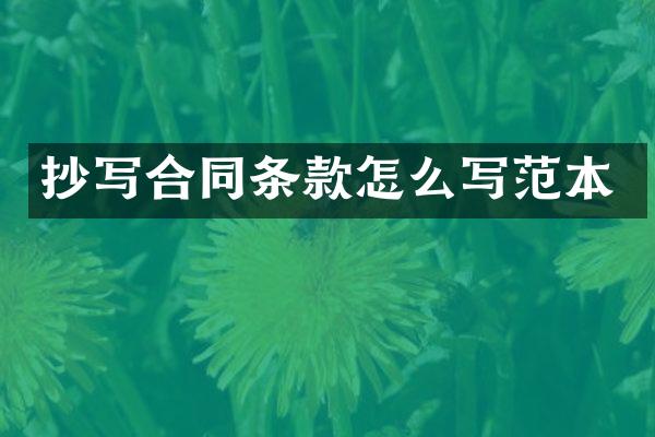 抄写合同条款怎么写范本