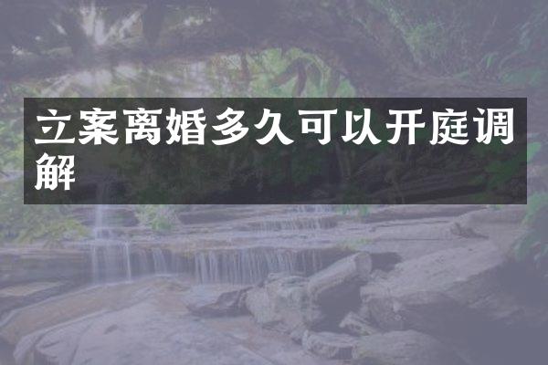 立案离婚多久可以开庭调解