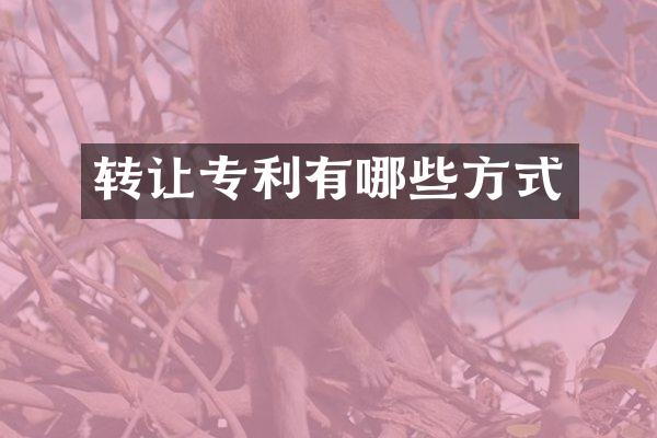 转让专利有哪些方式
