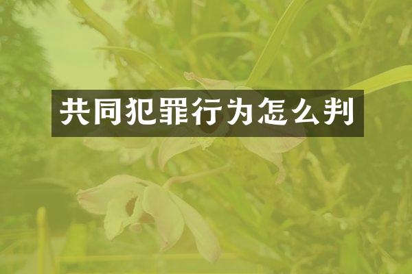 共同犯罪行为怎么判