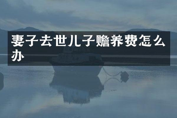 妻子去世儿子赡养费怎么办