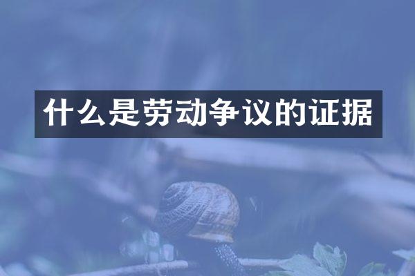 什么是劳动争议的证据