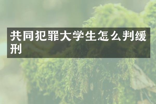 共同犯罪大学生怎么判缓刑