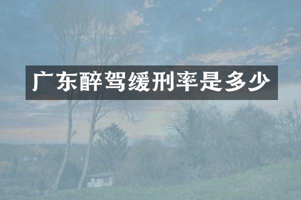 广东醉驾缓刑率是多少