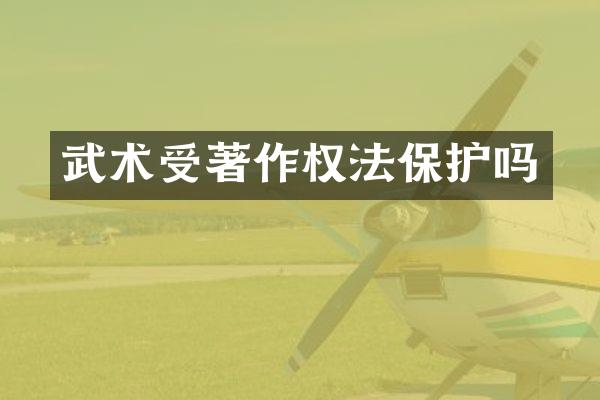 武术受著作权法保护吗