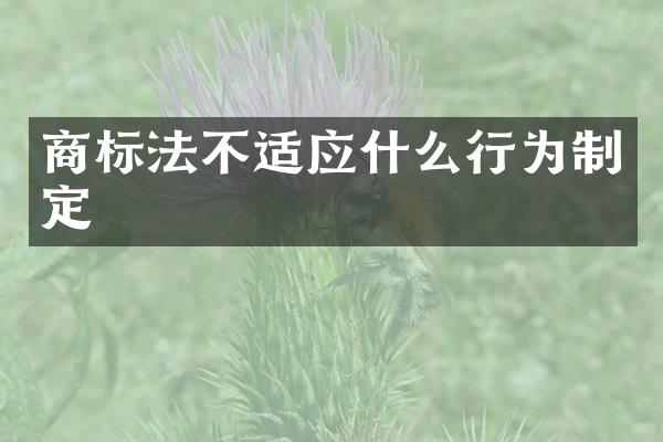 商标法不适应什么行为制定