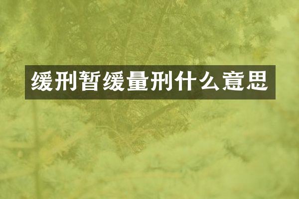 缓刑暂缓量刑什么意思