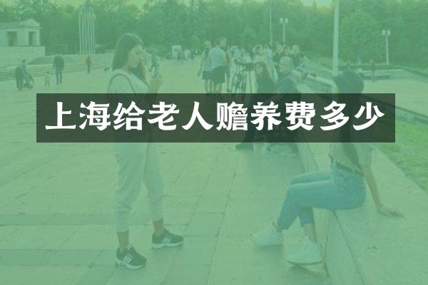 上海给老人赡养费多少