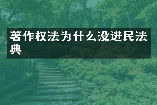 著作权法为什么没进民法典