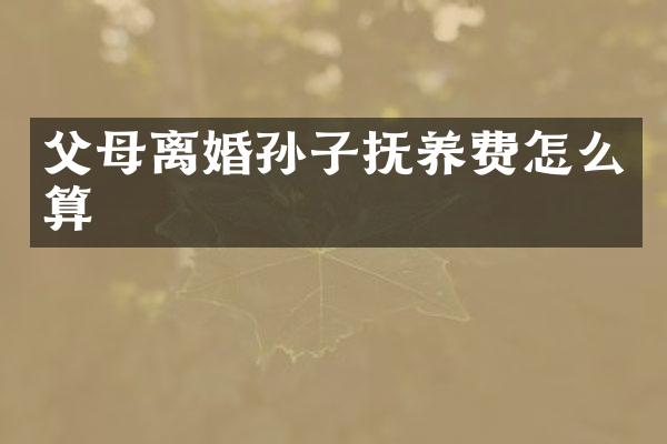 父母离婚孙子抚养费怎么算