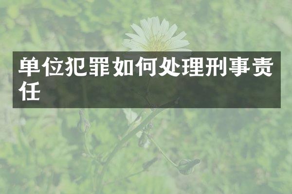 单位犯罪如何处理刑事责任