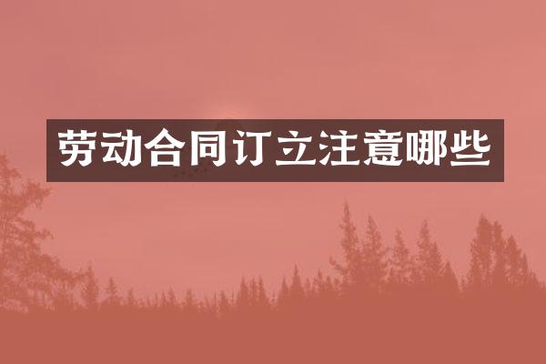 劳动合同订立注意哪些
